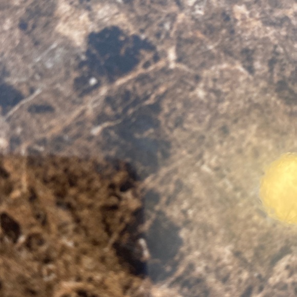 Cur8collectable is a scammer if anyone purchases a item from him he will scam u - Picture 1 of 1